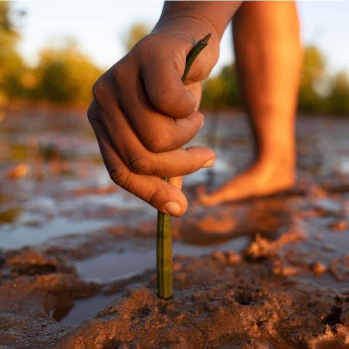 Immagine prodotto Zagg Casse-Cristallo (Apple iPhone 6, Apple iPhone 6s, Apple iPhone 7, Apple iPhone 8)