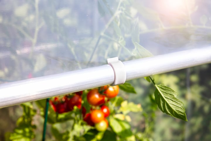 Image du produit Windhager Film de remplacement pour la serre de tomates