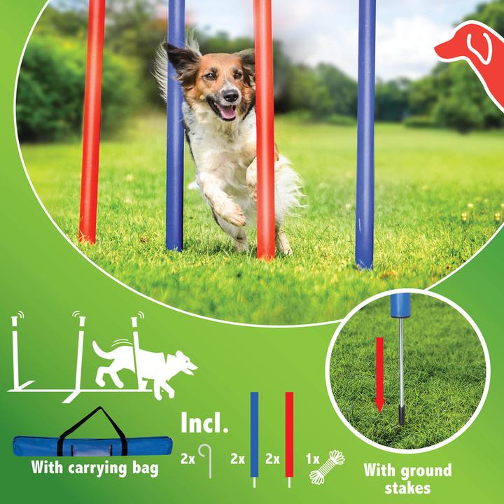 Actual product image Pet Toys Dog Slalom Set (Agility)