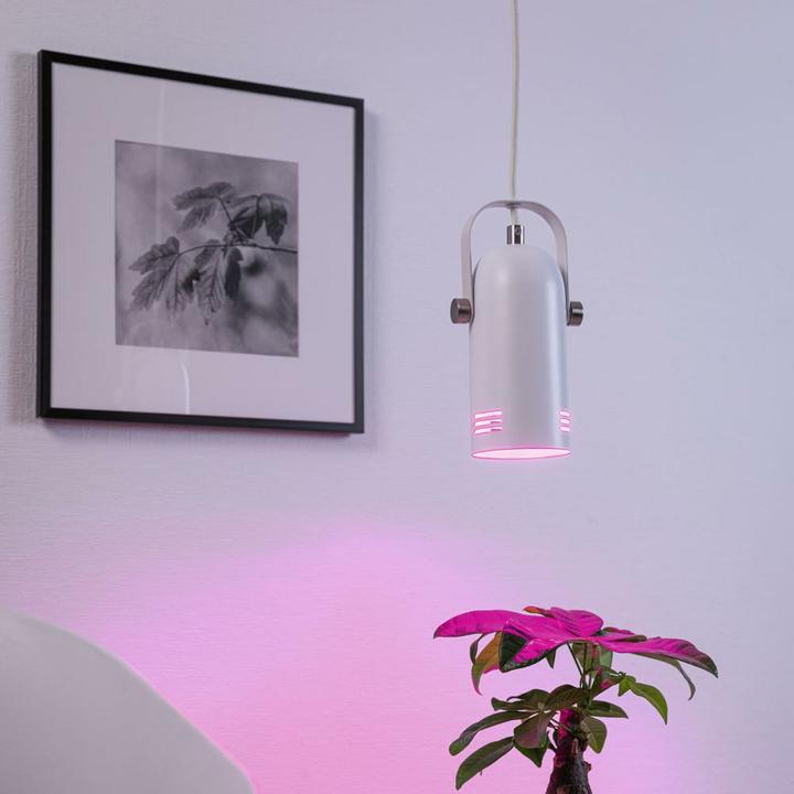 Produktbild Paulmann Neordic Lavea (E27)