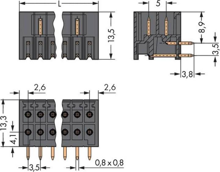 Actual product image Wago THT pin header, 2-row