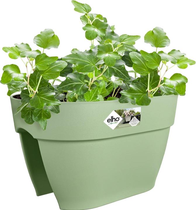 Produktbild Elho Vibia Campana Flower Bridge (26 cm)