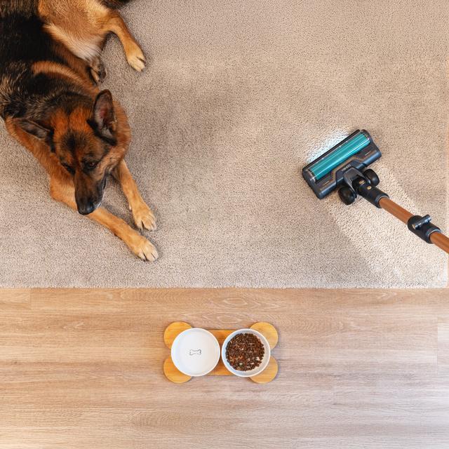 Actual product image Cecotec Conga Rockstar RX70 AquaPet Flex