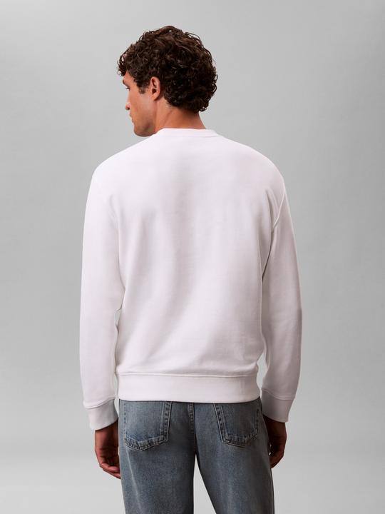 Actual product image Calvin Klein Jeans Ls Eu 350terry Badge Cn Swtshrt (M)