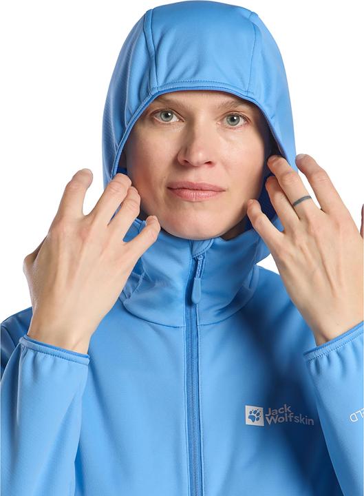 Produktbild Jack Wolfskin Feldberg Hoody W (M)