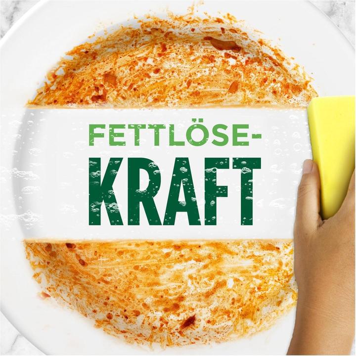 Actual product image Fairy Fairy, dishwasher, Jasmine, 625 ml (Liquid)