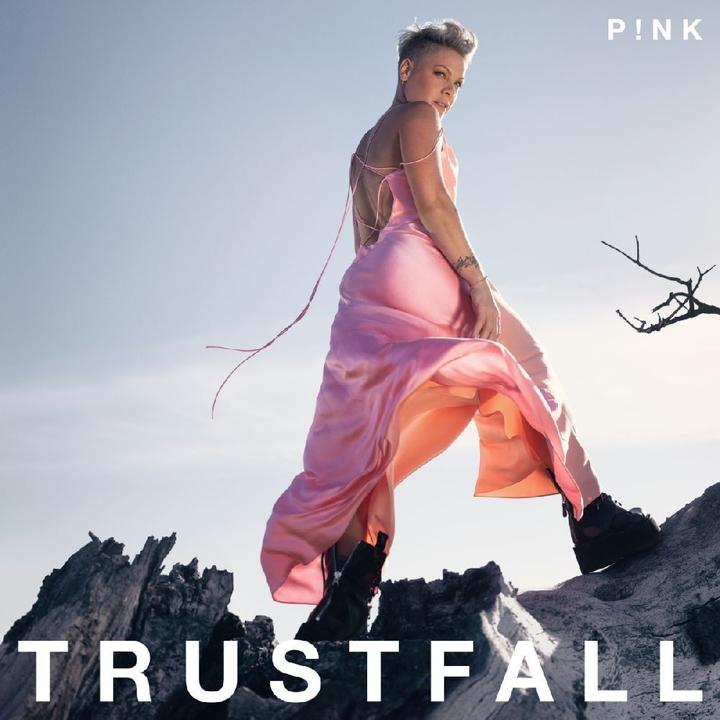 Produktbild Trustfall (Pink)