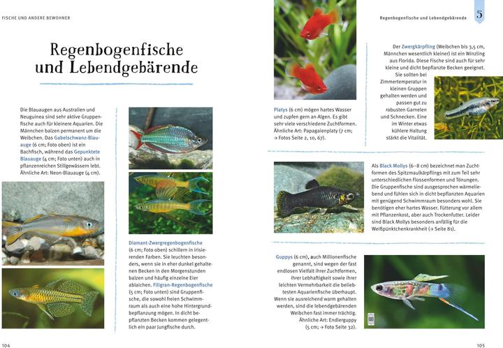 Actual product image Mein Aquarium (German, Ulrich Schliewen, 2016)