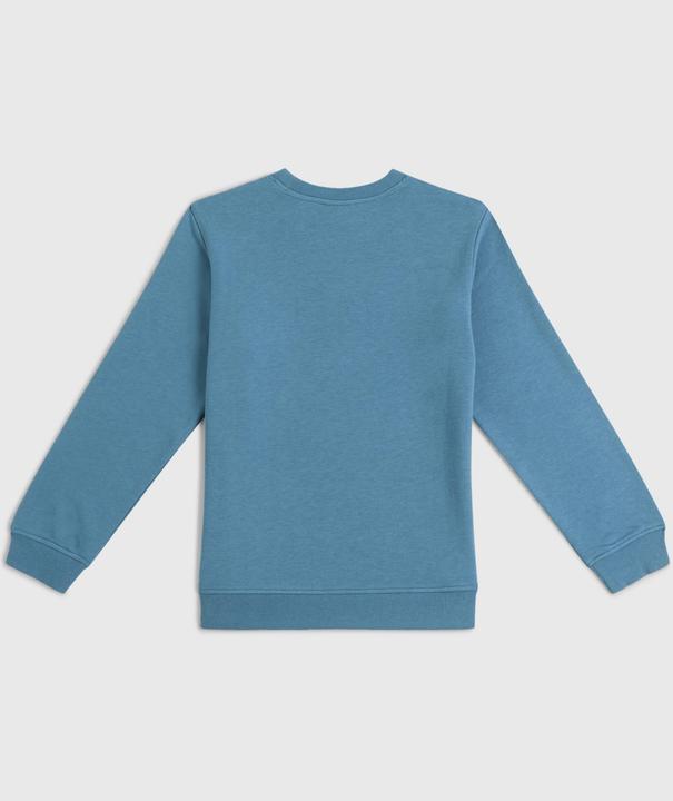 Actual product image O'Neill Essentials Crew (152)