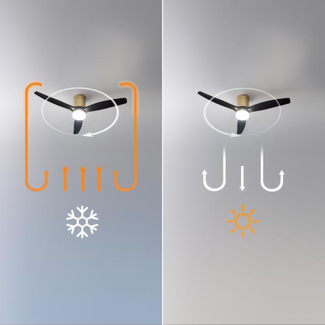 Actual product image Cecotec Deckenventilator Mit Lampe Energysilence Aero 5600 Aqua Schwarz Gold 20 W 40 W