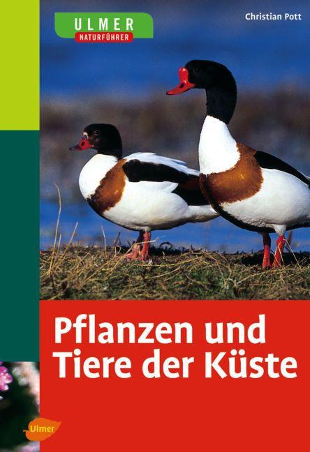 Produktbild Pflanzen und Tiere der Küste (Deutsch, 2006)