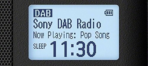 Produktbild Sony Xdr-S41d (DAB+, FM)