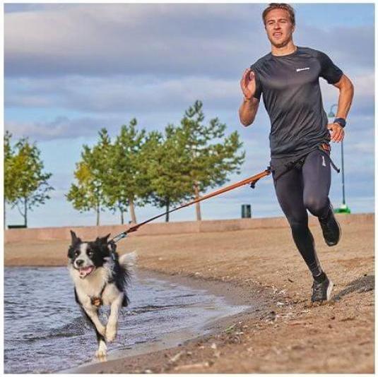 Image du produit Non-Stop Dogwear CaniX Belt S (S, Chien, Sport canin)