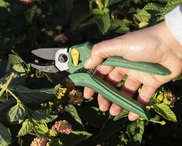 Produktbild Garten Meister Einhand-Gartenschere