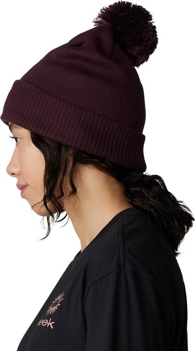 Image du produit Mountain Hardwear ApresPro™ Beanie (Taille unique)