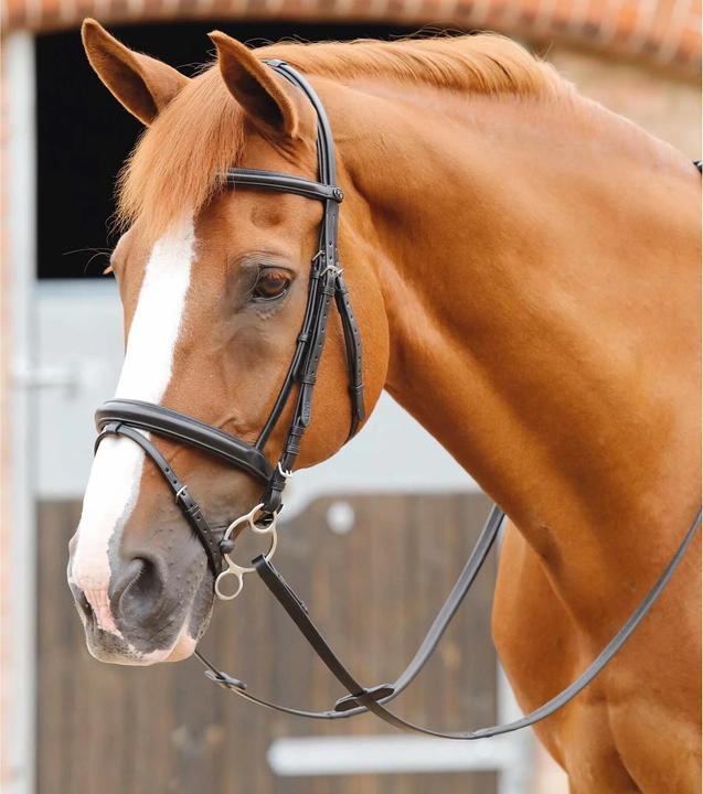 Image du produit Premier Equine Delizioso