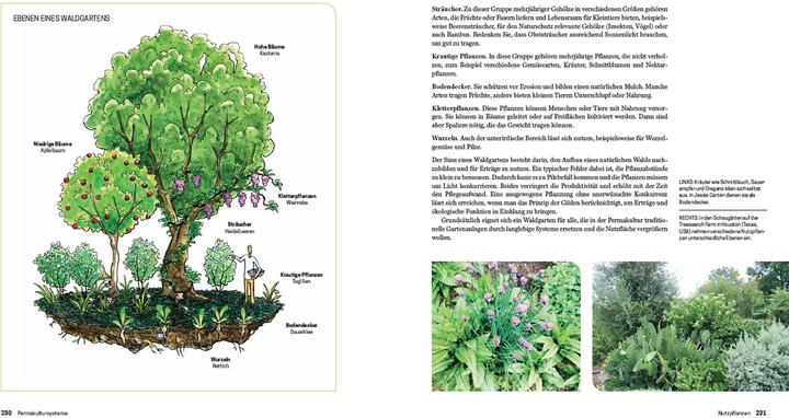 Produktbild Praxisbuch Permakultur (Deutsch, Jessi Bloom, Dave Boehnlein, 2025)