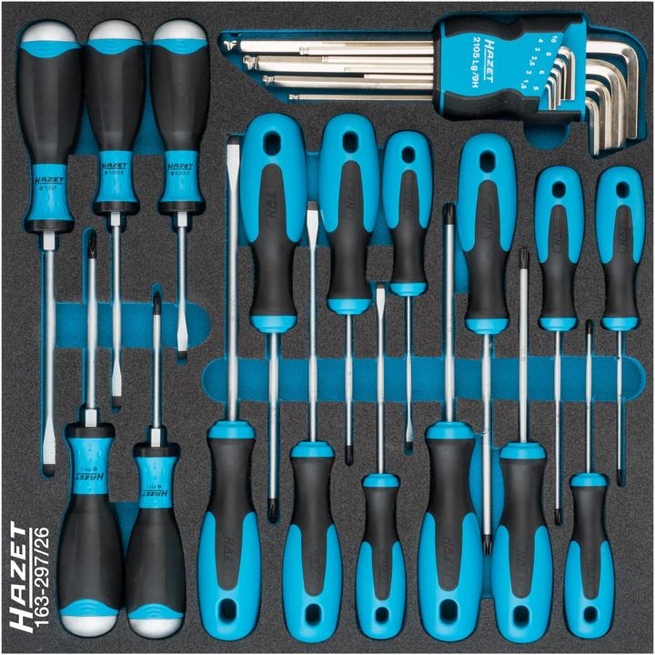 HAZET Schraubendreher Satz (Schlitzschrauben, Torx (TX), Phillipps-Kreuzschlitz (PH))