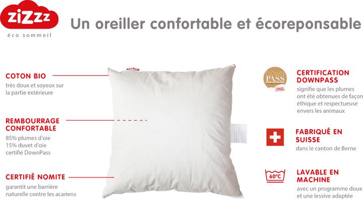 Produktbild Zizzz Premium Gänsedaunenkissen (40 x 60 cm)