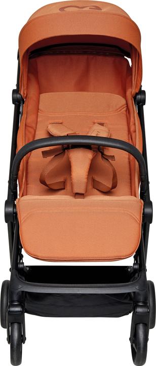 Immagine prodotto Koelstra Realizzare un Buggy