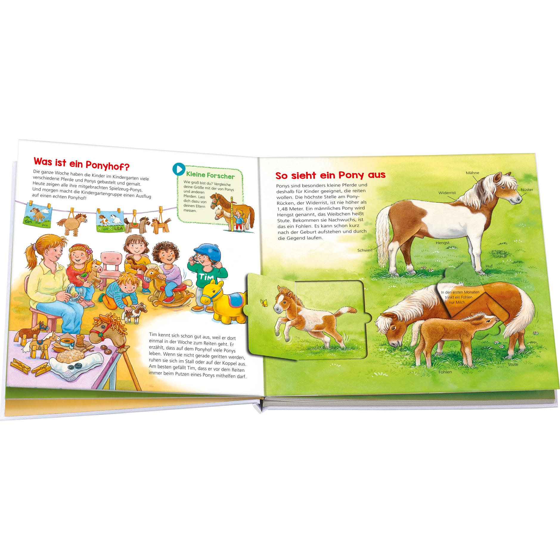 Thumbnail - WAS IST WAS Kindergarten Komm mit auf den Ponyhof!, Kinderbücher von Sandra Noa, Benjamin Schreuder