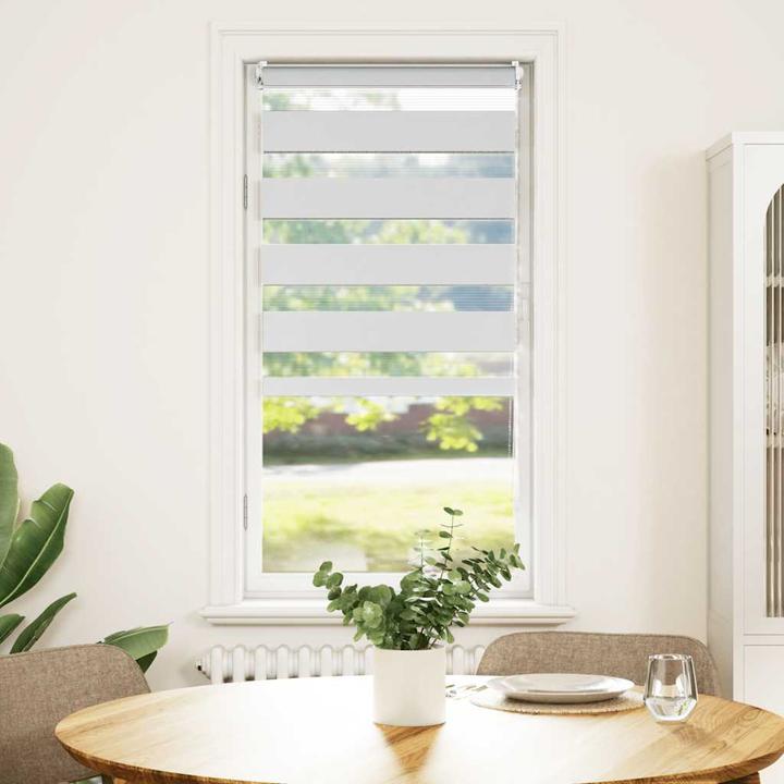 Image du produit vidaXL Doppelrollo (70 x 120 cm)