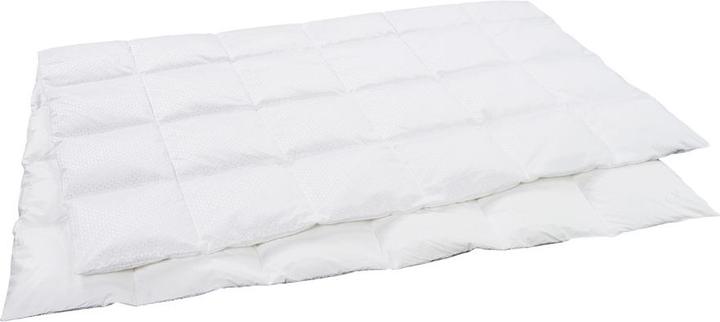 Actual product image Dauny Climaactive Evolution (370 g, 210 x 160 cm)