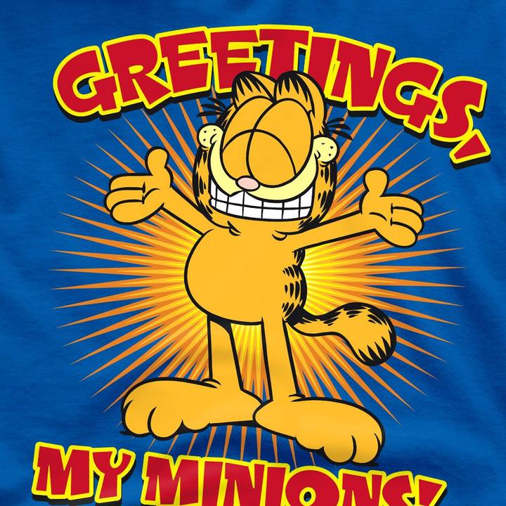 Produktbild Garfield Minions TShirt (S)