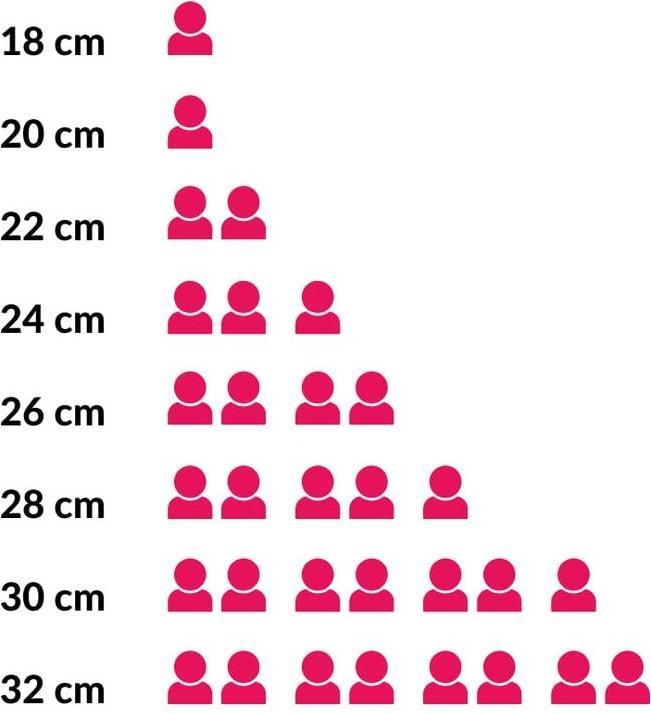 Produktbild de Buyer Runde Bratpfanne B Bois ø20cm (Bratpfanne, Edelstahl, 20 x 3.20 cm)