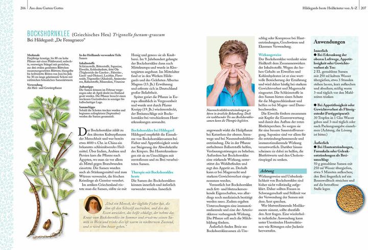 Produktbild Die bewährte Heilkunde der Hildegard von Bingen (Deutsch, Rainer Köthe, 2018)