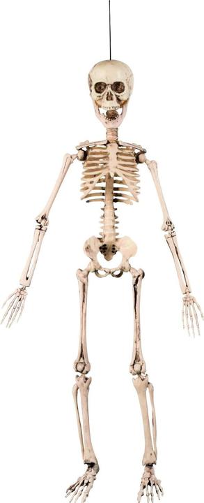 Actual product image Fasnacht Movable skeleton (1 Piece)