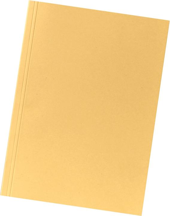 Falken Aktensammler (A4, 1 x)