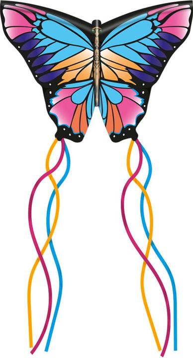 Actual product image Eolo 3D dragon butterfly