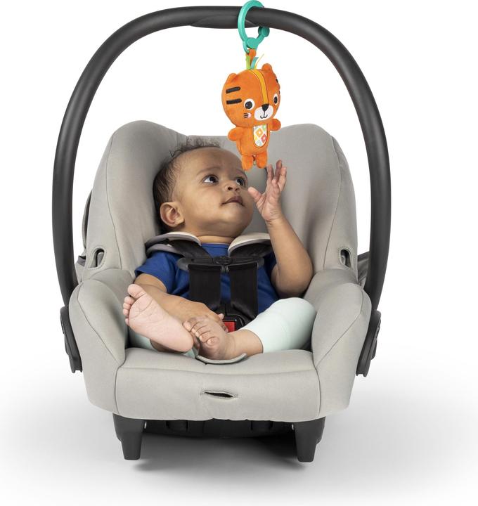 Actual product image Bright Starts Chime Along Friend – Tiger