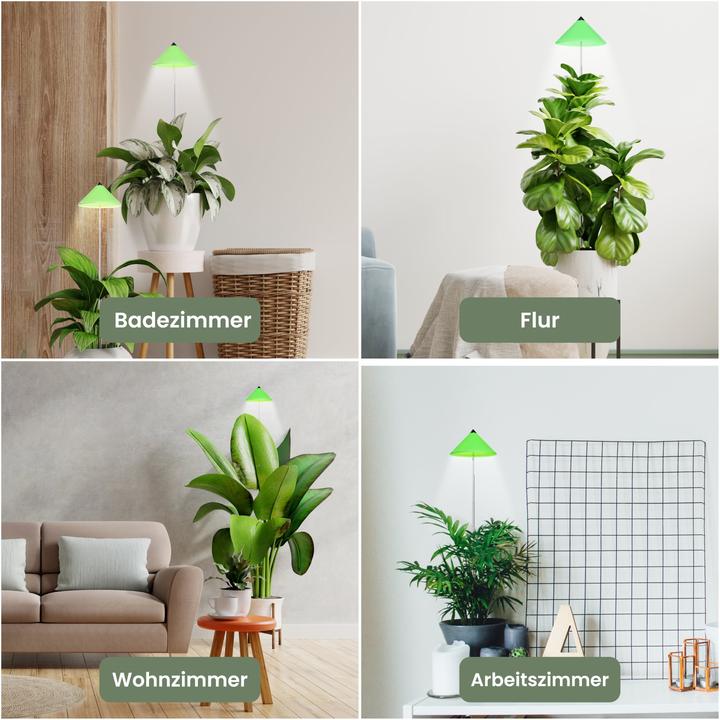 Actual product image Colibri Sunlite (LED, 230 V)