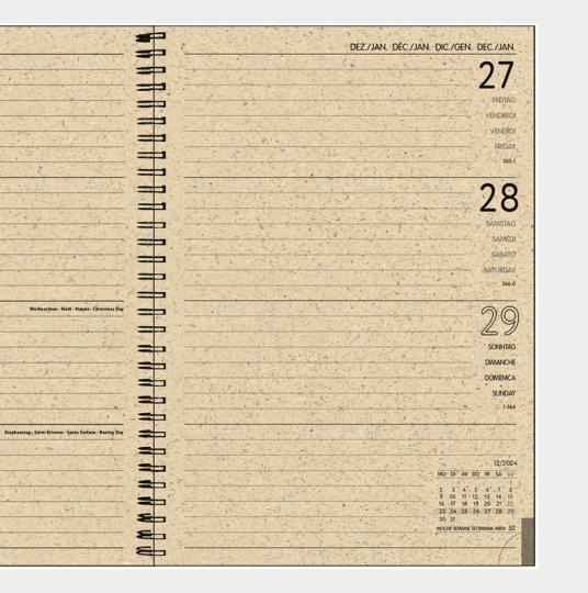 Produktbild Simplex Graspapier (14 x 21 cm, 1 Woche / 2 Seiten)