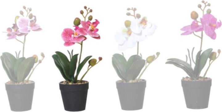 Immagine prodotto Disco Möbel Orchidee (28 cm)