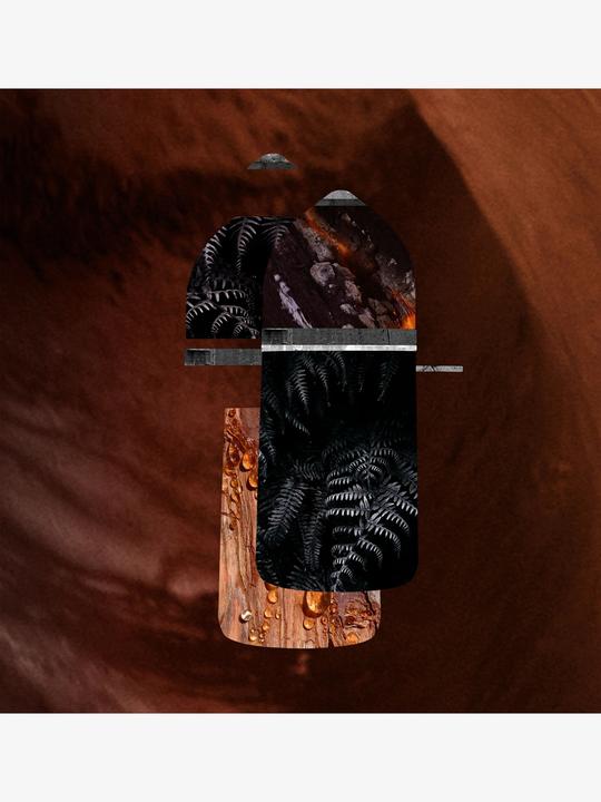 Produktbild Cartier Pasha de Noir Absolu (Eau de Parfum, 100 ml)