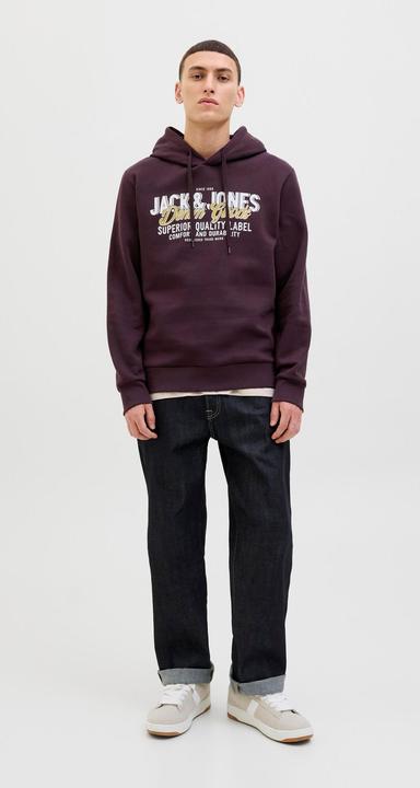 Actual product image Jack & Jones JJELOGO SWEAT HOOD 2 COL 25/26 NOOS (XXL)