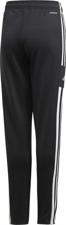 Actual product image adidas Squadra 21 Training Pants Kids (116)