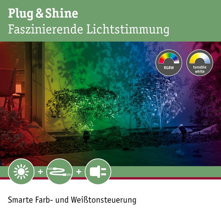 Produktbild Paulmann Outdoor Plug & Shine Pike Starterset (170 lm, IP44)