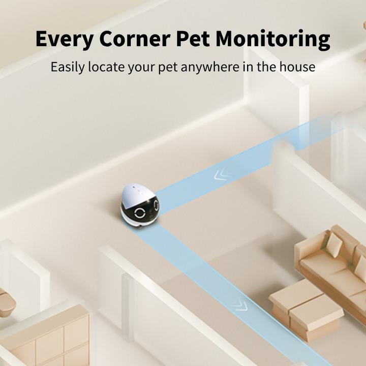 Actual product image Enabot Rola Mini Companion Robot (2304 x 1296 Pixels)
