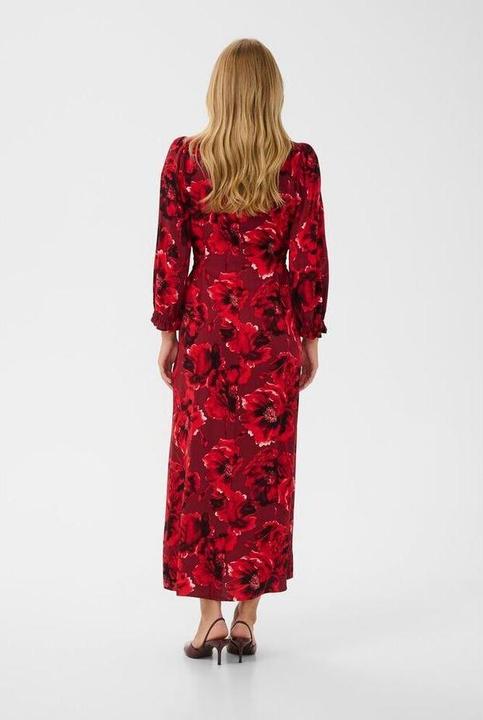 Image du produit Culture Rachel Elitha (S)