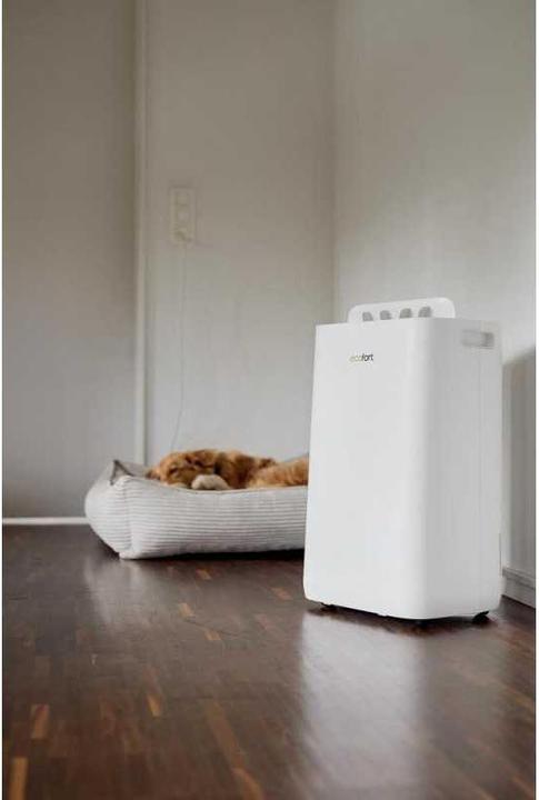 Actual product image ecofort ecoQ DryAir 20L Energy Saver Complete (50 m², 20 l/24h)