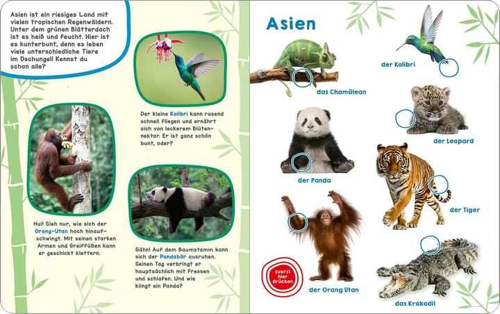 Immagine prodotto Mein grosses Geräuschebuch – Tiere der Welt (Tedesco)