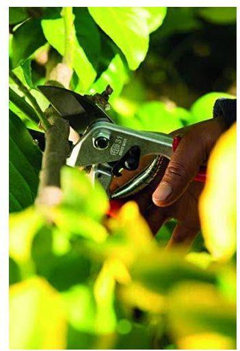 Actual product image Felco 31 Professional anvil pruning shears