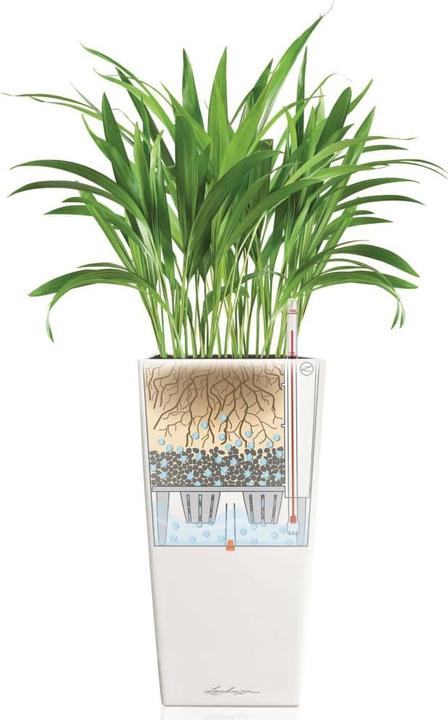 Produktbild Lechuza Cubico 30 (29.50 x 29.50 x 56.50 cm)