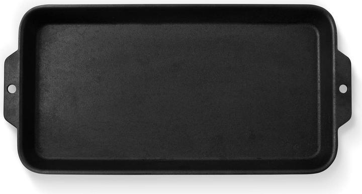 Actual product image Biolite Firepit Griddle