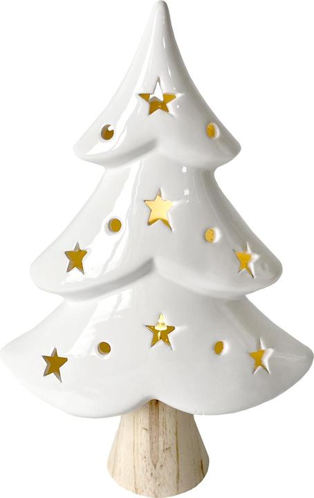 HTI-Living LED Winterbaum mit Leuchtsternen