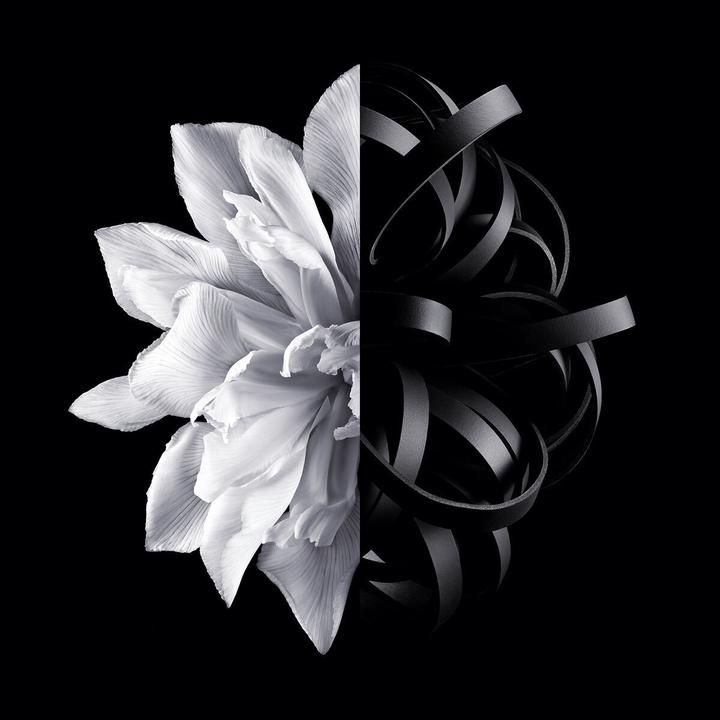 Image du produit Givenchy L'Interdit 2019 (Eau de toilette, 80 ml)
